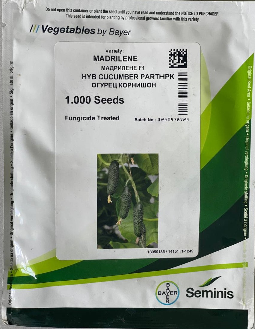 Огурец Мадрилене